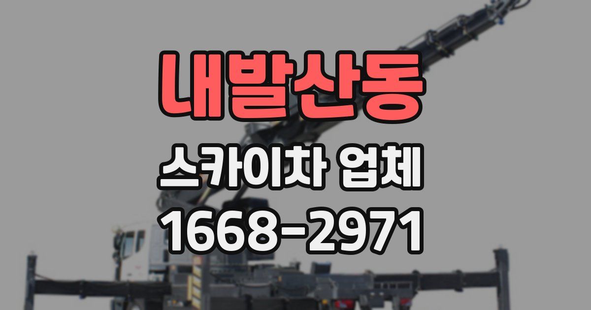 내발산동 스카이차 업체