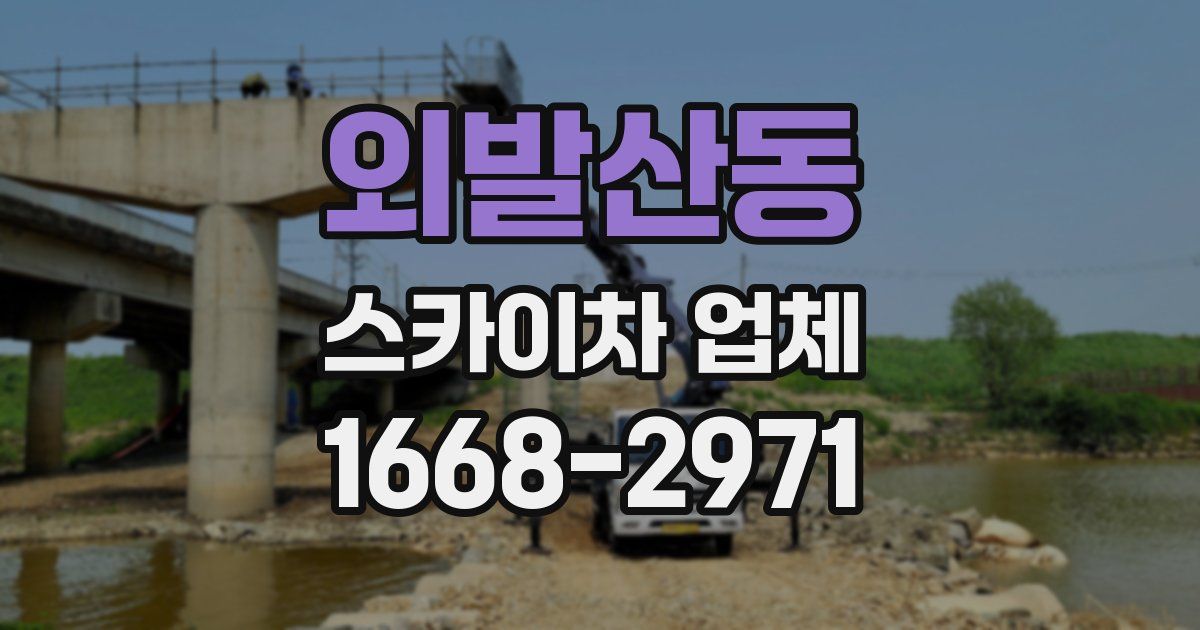 외발산동 스카이차 업체