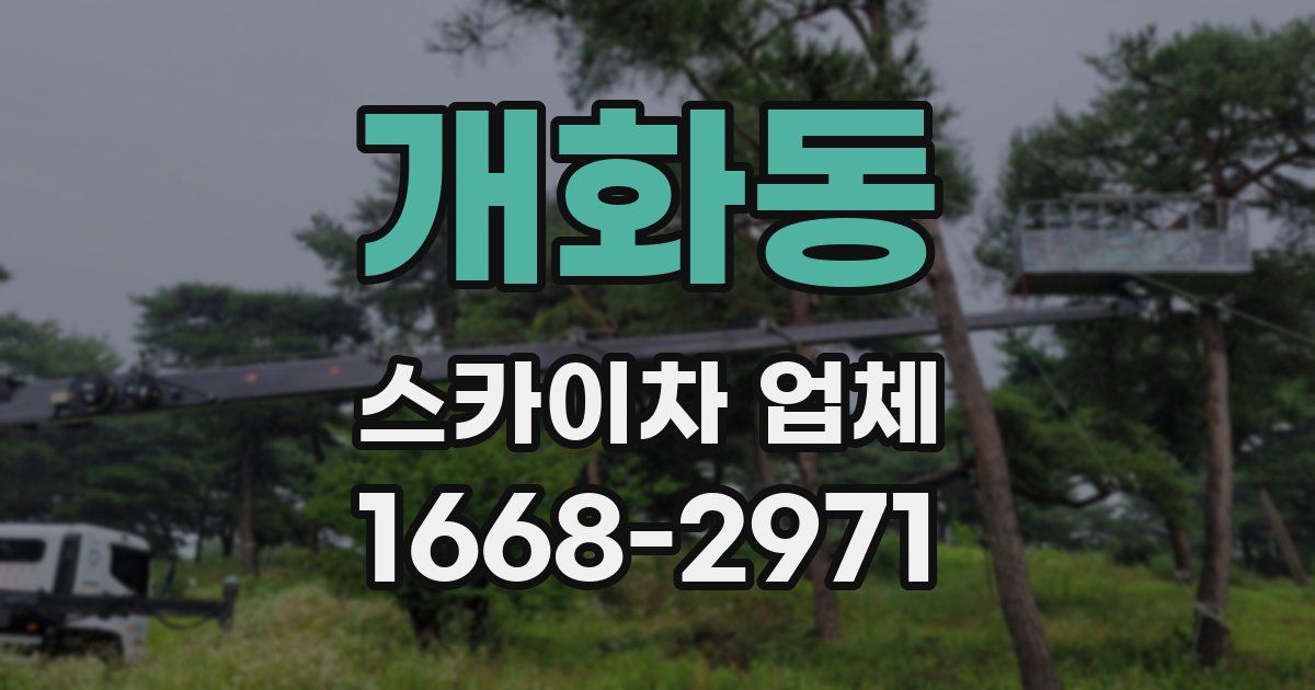 개화동 스카이차 업체