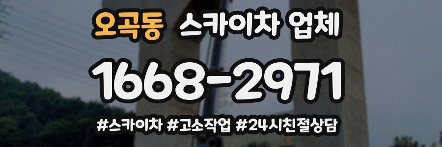 오곡동 스카이차 업체