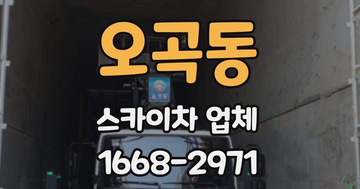 오곡동 스카이차 업체