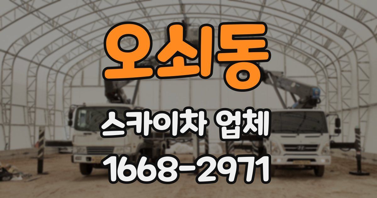 오쇠동 스카이차 업체