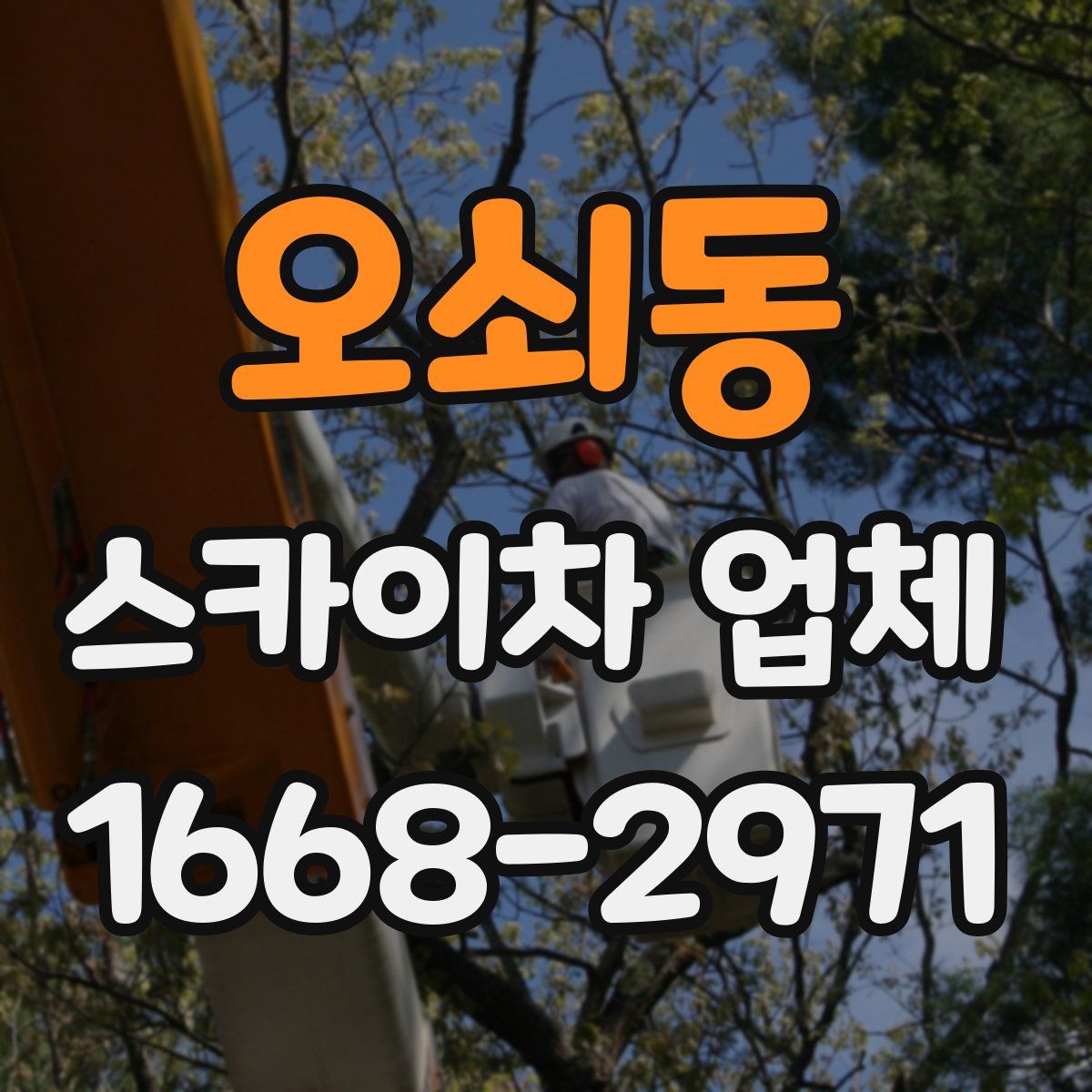 오쇠동 스카이차 업체