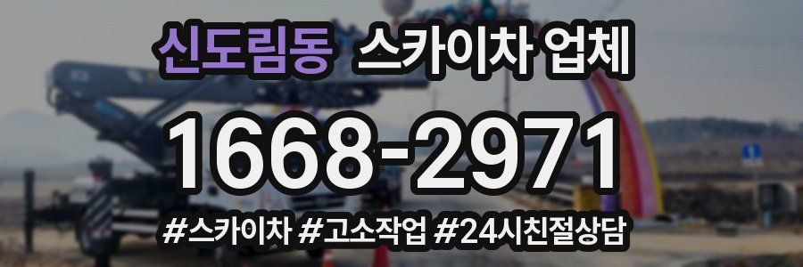 신도림동 스카이차 업체