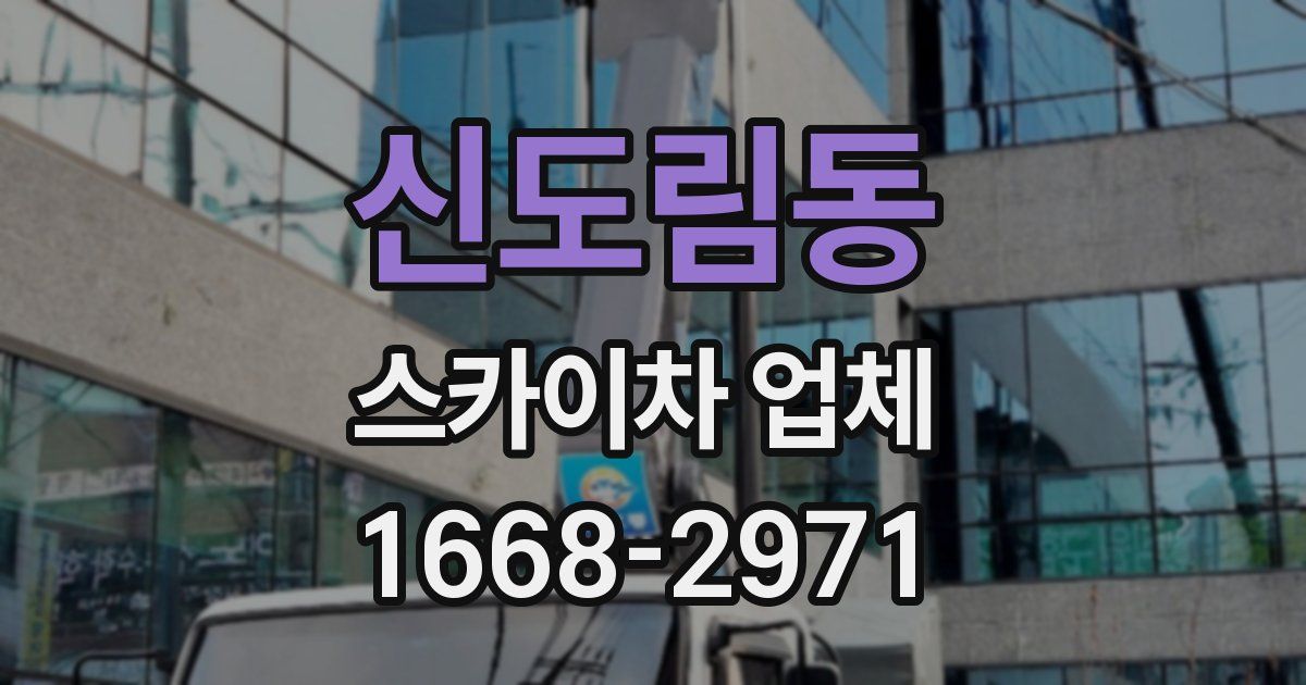 신도림동 스카이차 업체