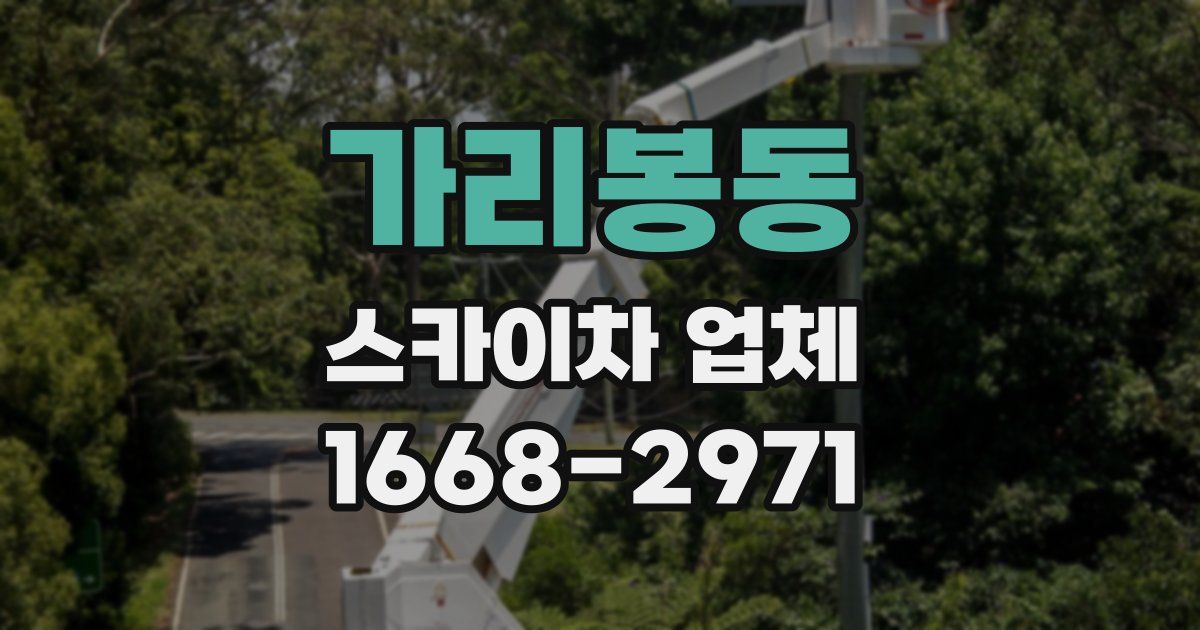 가리봉동 스카이차 업체