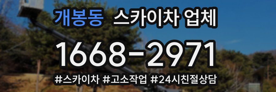 개봉동 스카이차 업체