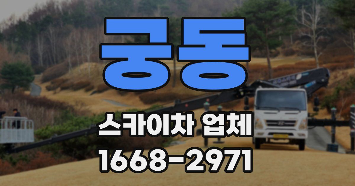 궁동 스카이차 업체