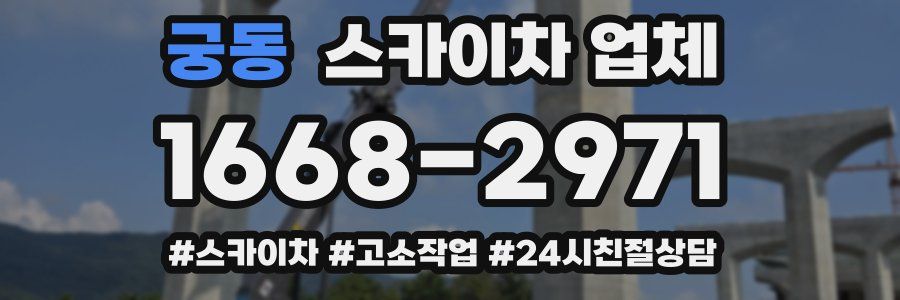 궁동 스카이차 업체