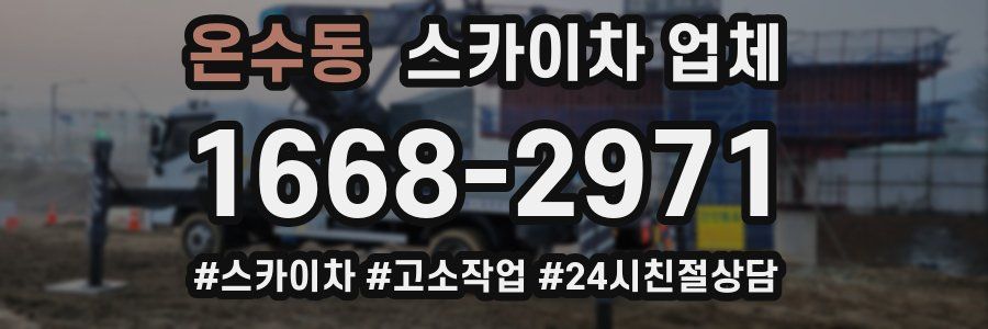 온수동 스카이차 업체