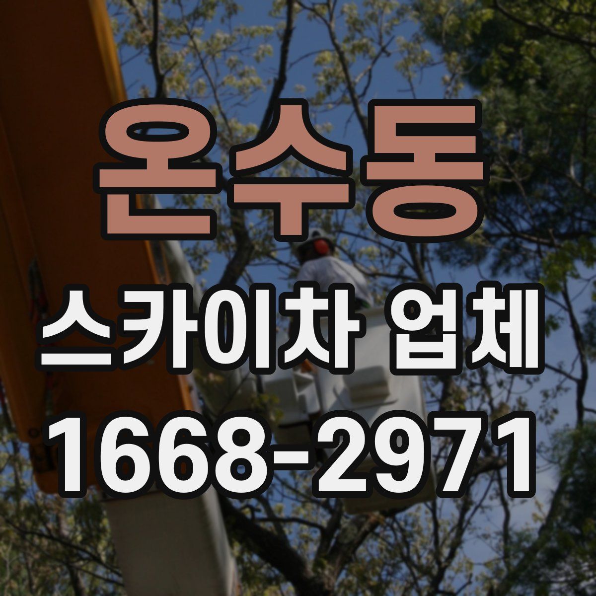 온수동 스카이차 업체