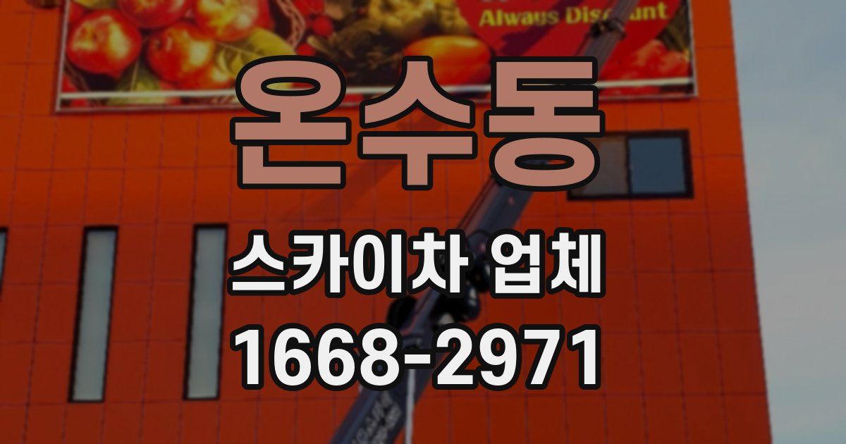 온수동 스카이차 업체