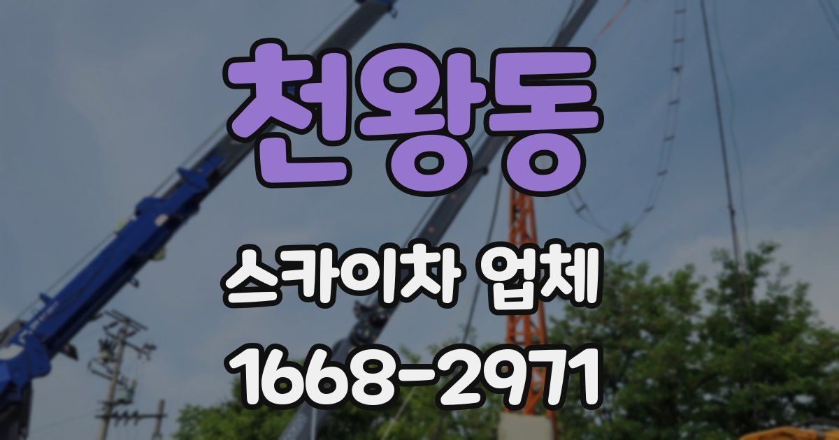 천왕동 스카이차 업체