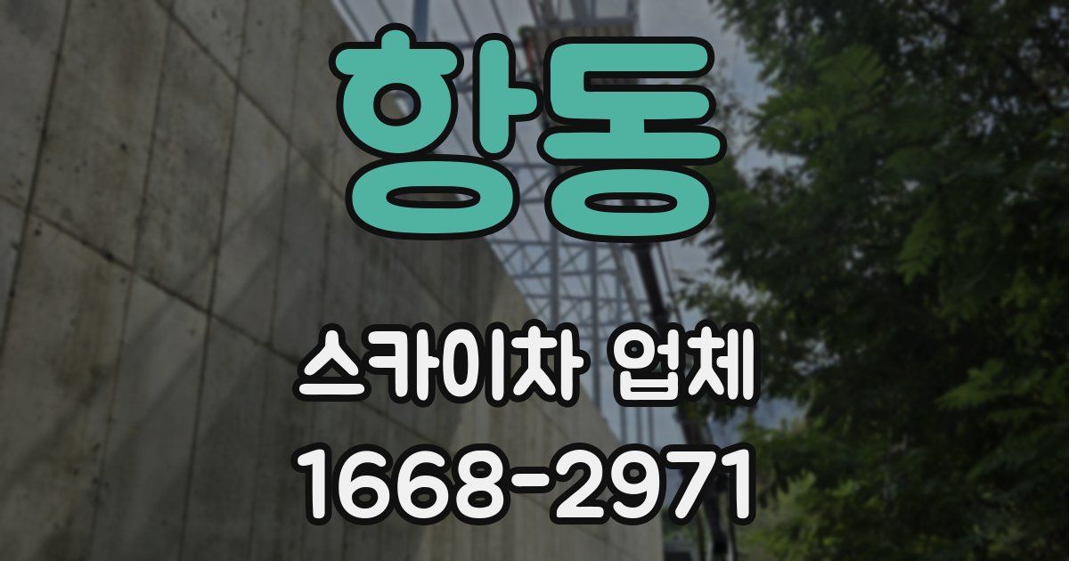 항동 스카이차 업체