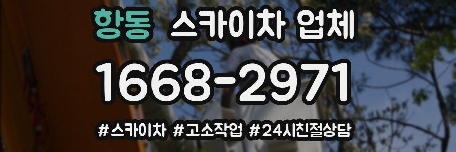 항동 스카이차 업체