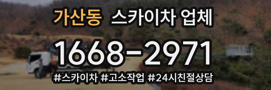 가산동 스카이차 업체
