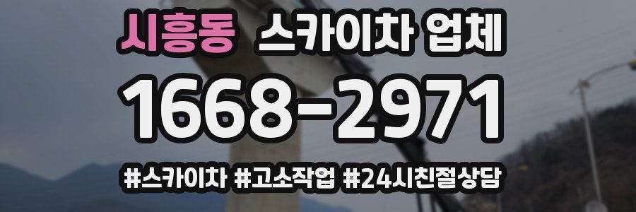 시흥동 스카이차 업체