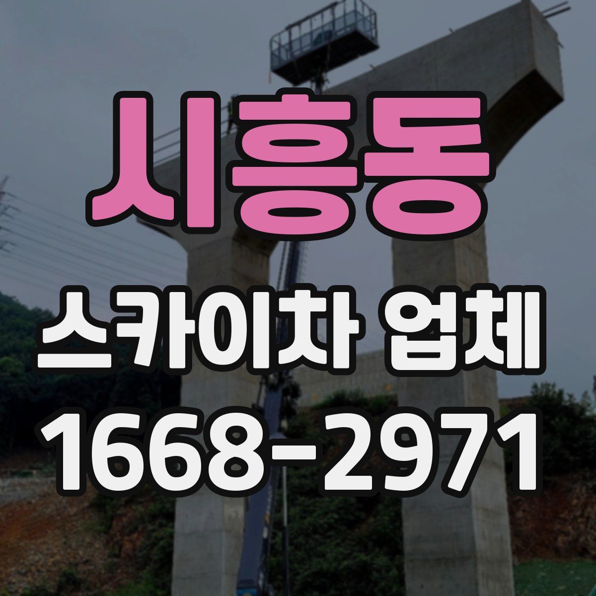 시흥동 스카이차 업체