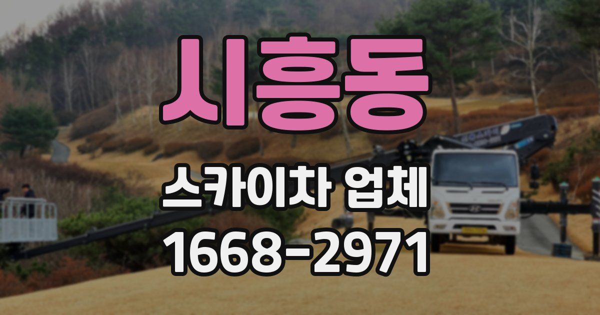 시흥동 스카이차 업체