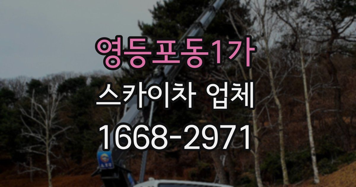 영등포동1가 스카이차 업체