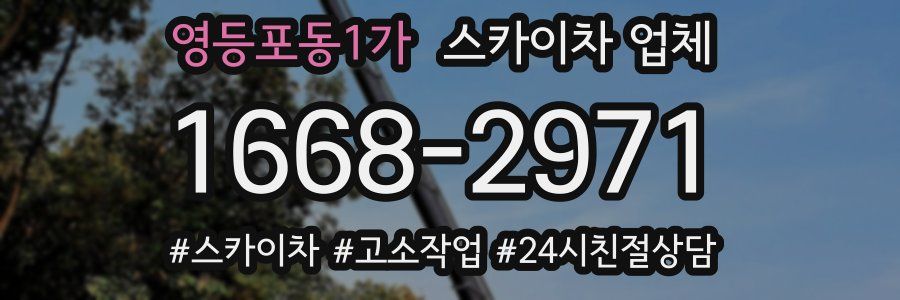 영등포동1가 스카이차 업체