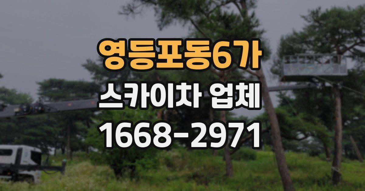 영등포동6가 스카이차 업체