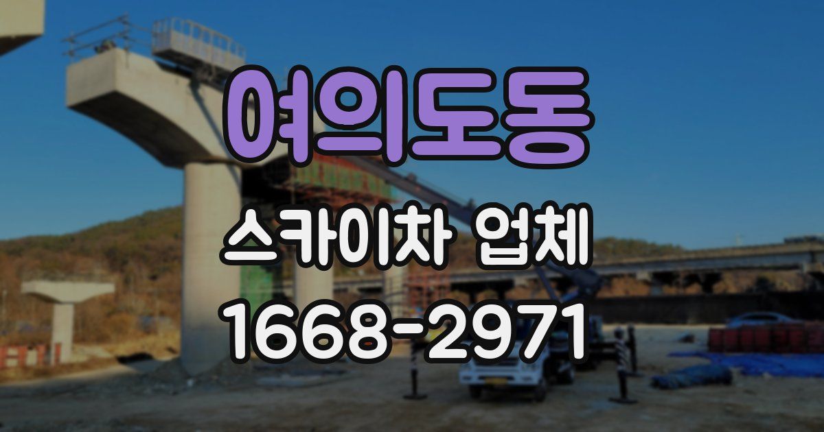 여의도동 스카이차 업체