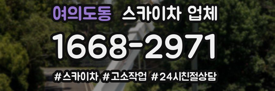 여의도동 스카이차 업체