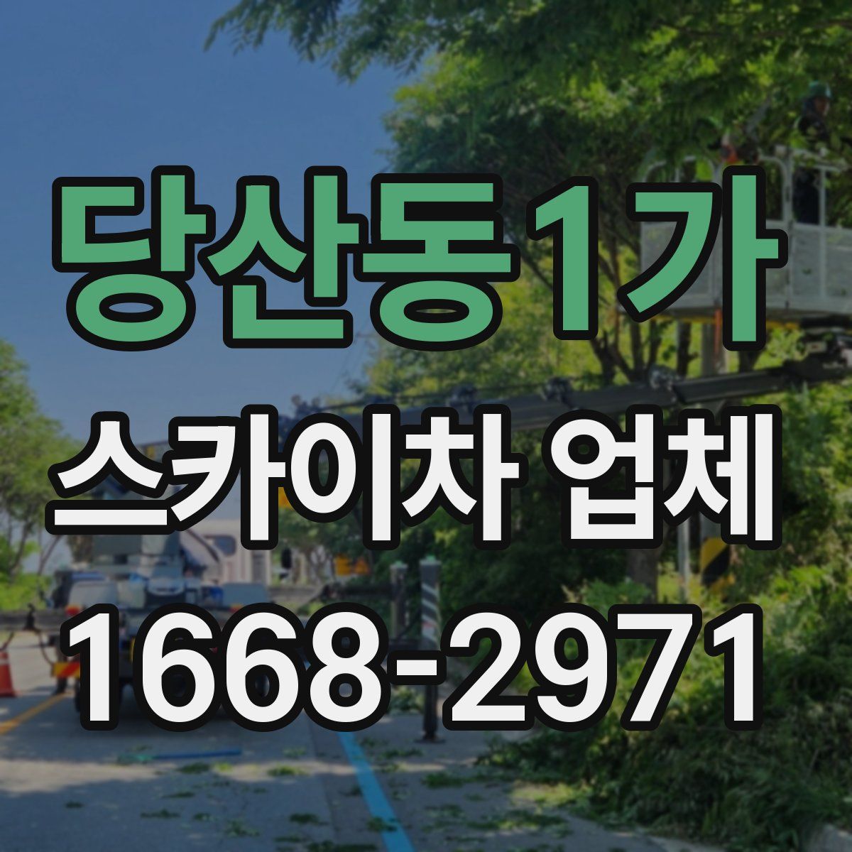 당산동1가 스카이차 업체