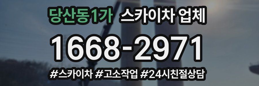 당산동1가 스카이차 업체