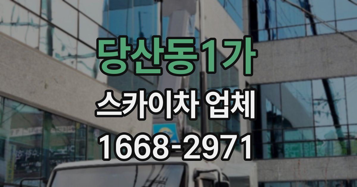당산동1가 스카이차 업체