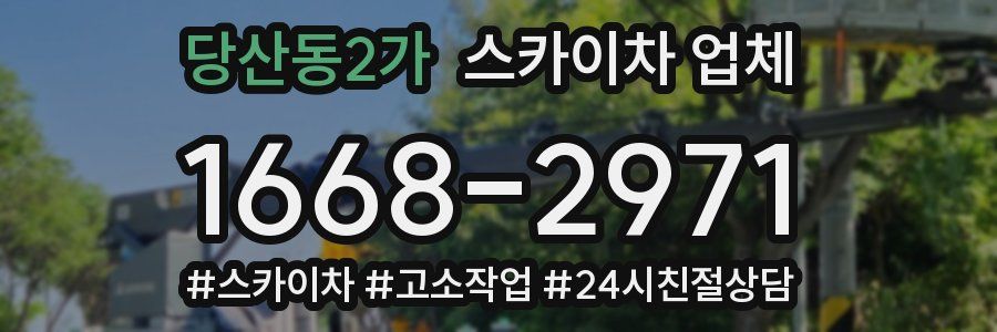 당산동2가 스카이차 업체