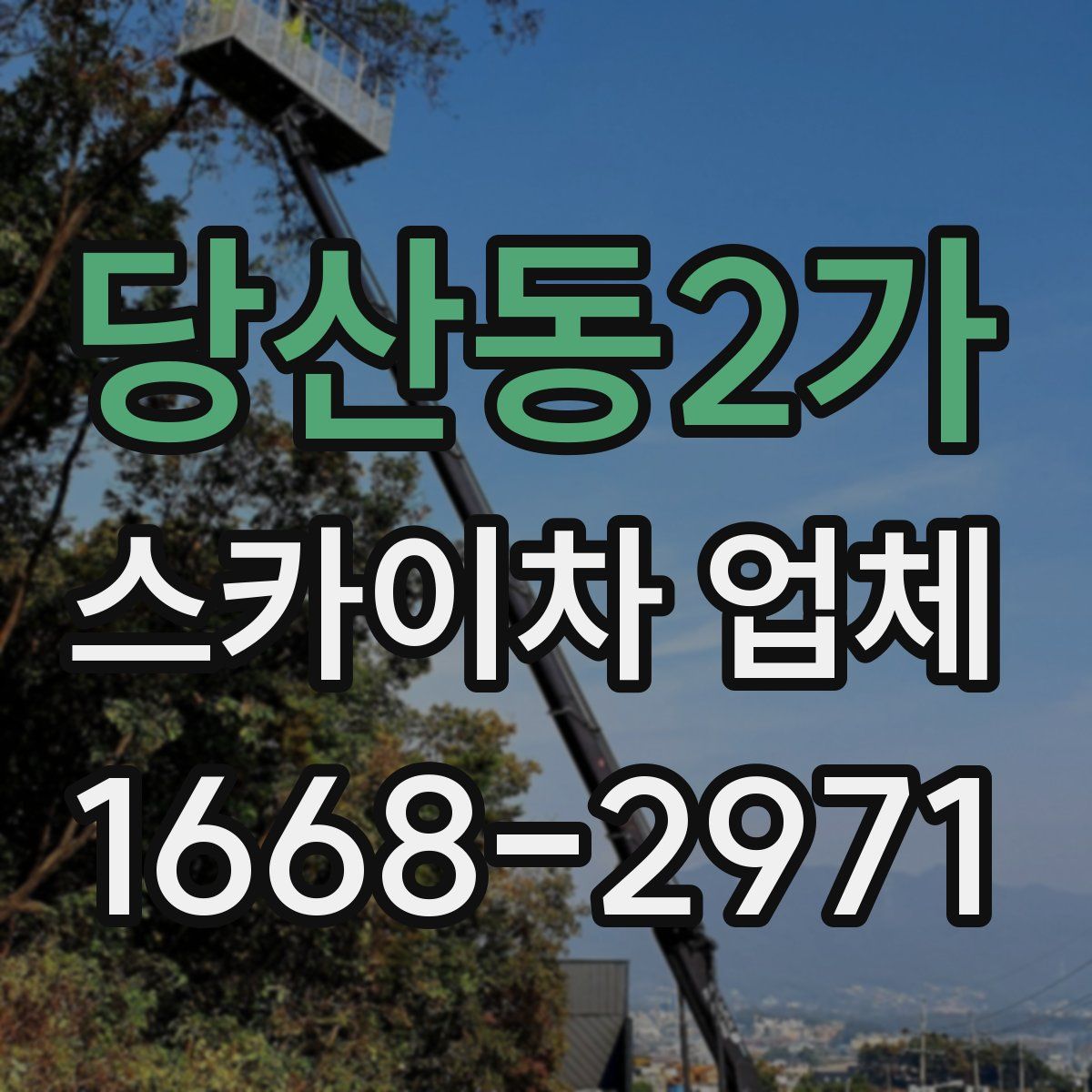 당산동2가 스카이차 업체