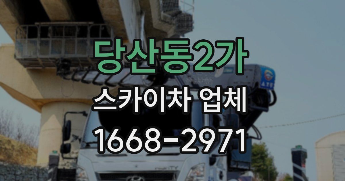 당산동2가 스카이차 업체