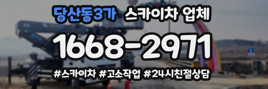 당산동3가 스카이차 업체