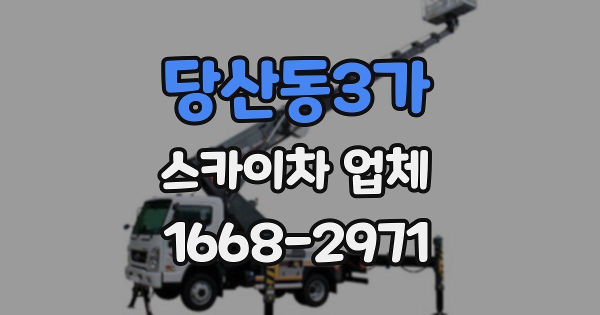 당산동3가 스카이차 업체