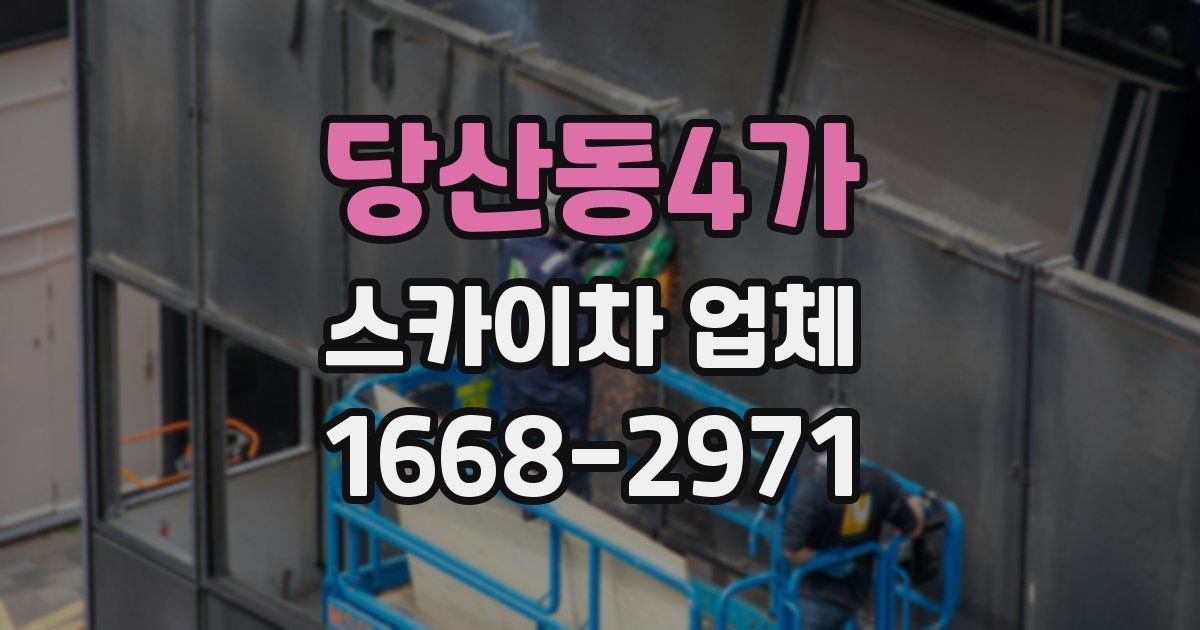 당산동4가 스카이차 업체