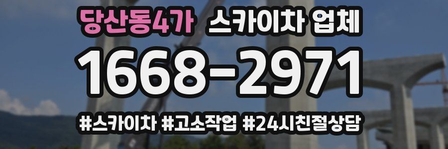 당산동4가 스카이차 업체