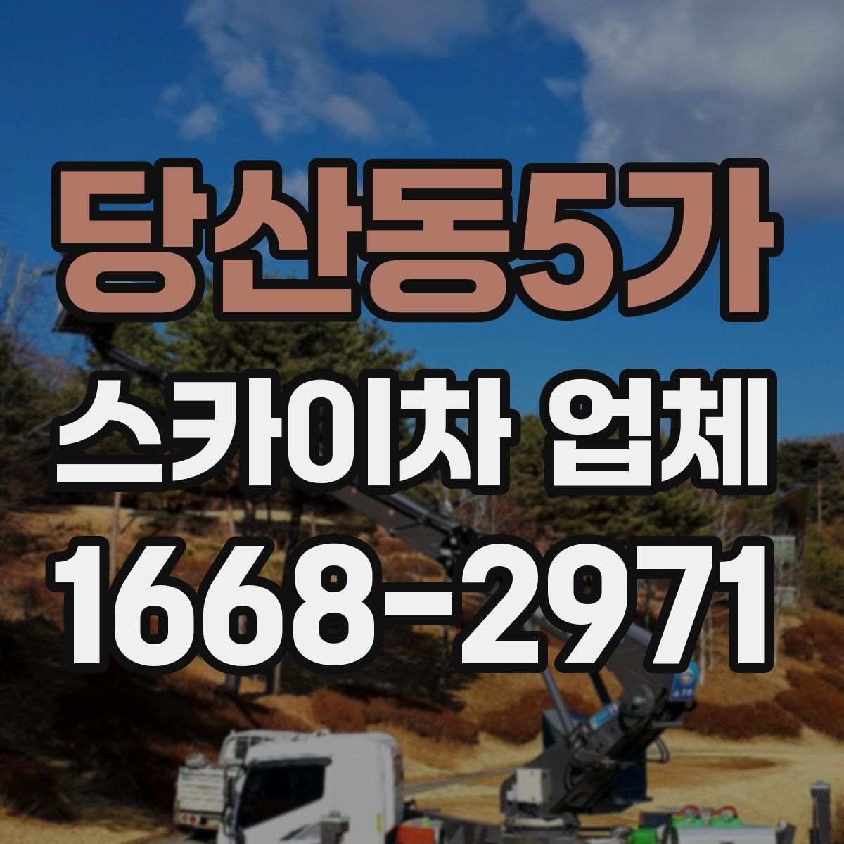 당산동5가 스카이차 업체