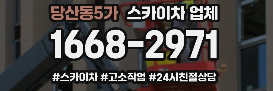 당산동5가 스카이차 업체