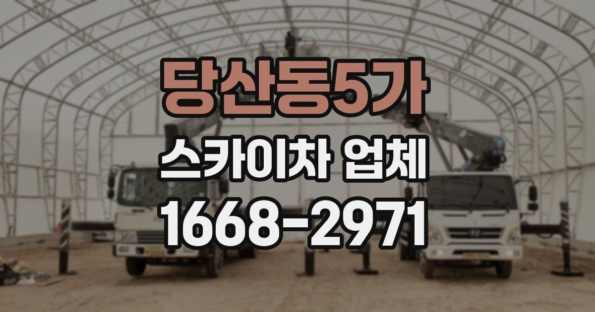 당산동5가 스카이차 업체
