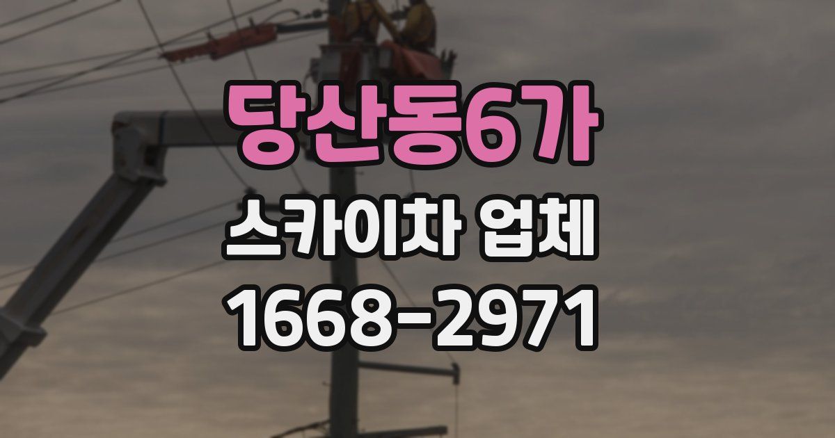 당산동6가 스카이차 업체