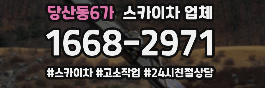 당산동6가 스카이차 업체