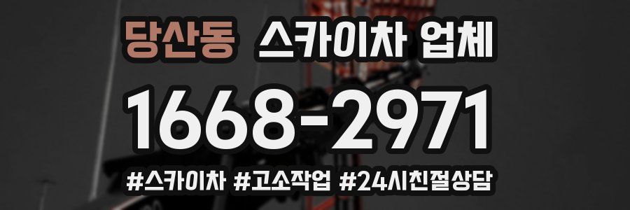 당산동 스카이차 업체