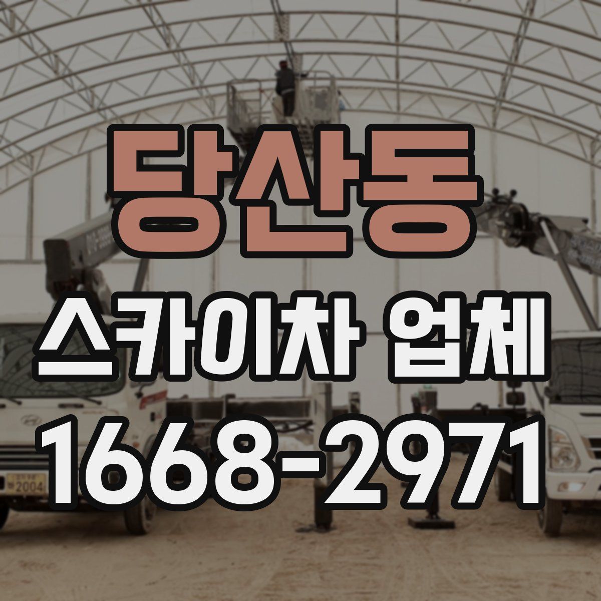 당산동 스카이차 업체
