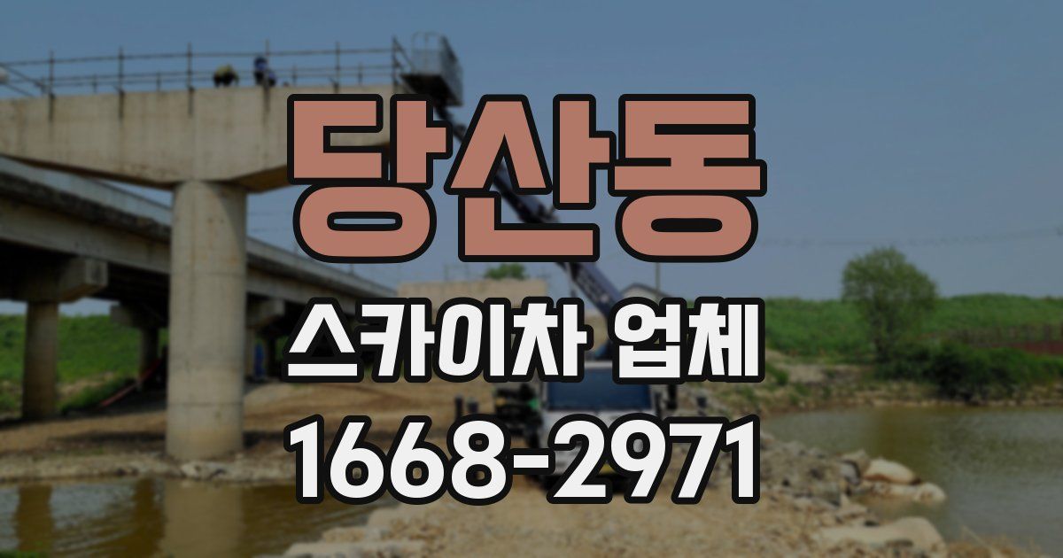 당산동 스카이차 업체