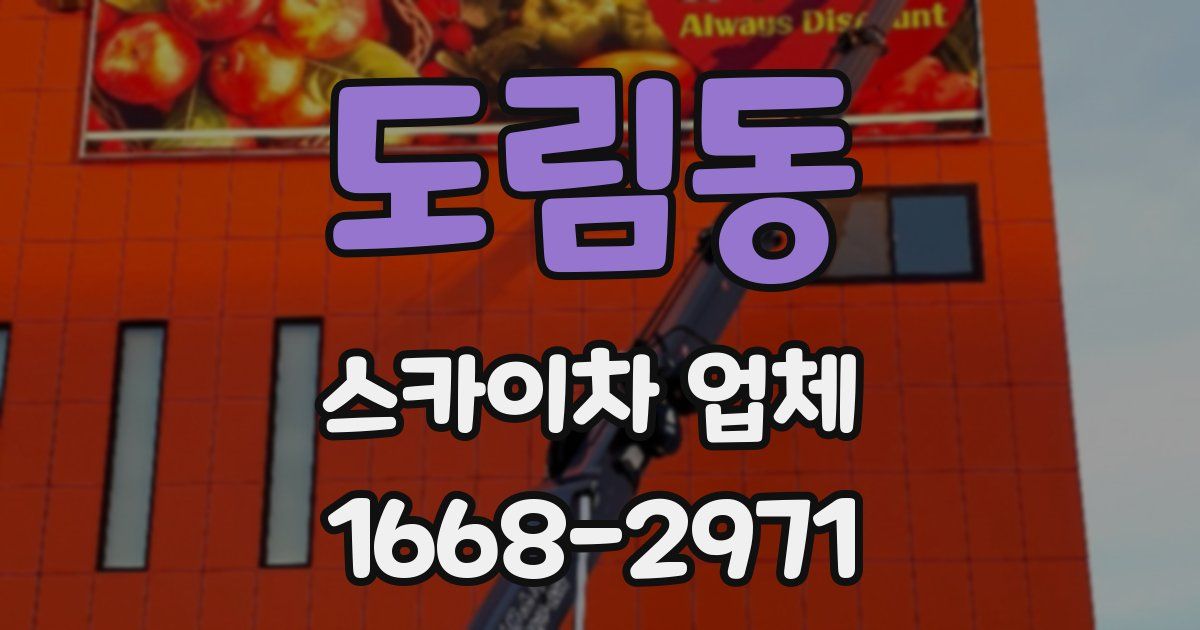 도림동 스카이차 업체
