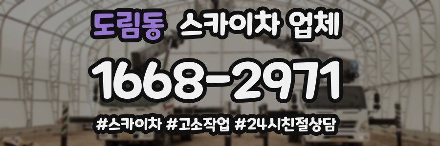 도림동 스카이차 업체