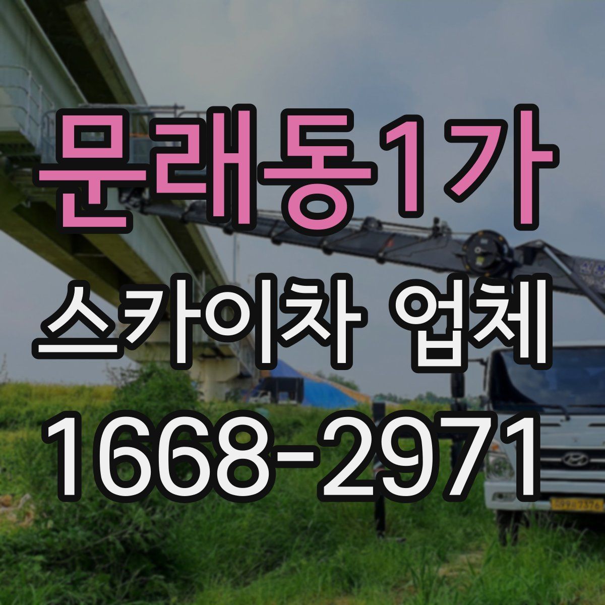 문래동1가 스카이차 업체