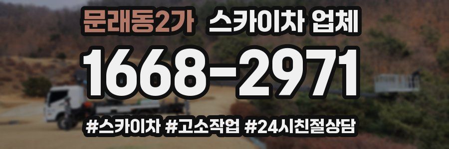 문래동2가 스카이차 업체